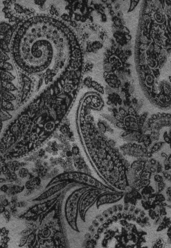 ROECKL Soft Paisley 70x180 - flanell (grau) Discount